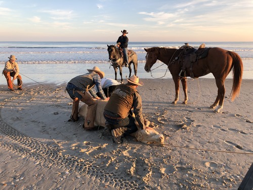 4 men hold a cow on its side on the beach while another mounted man and a riderless horse watch