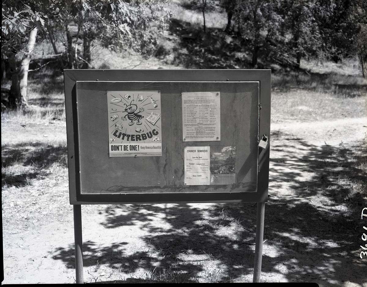 Litterbug signs at campground.