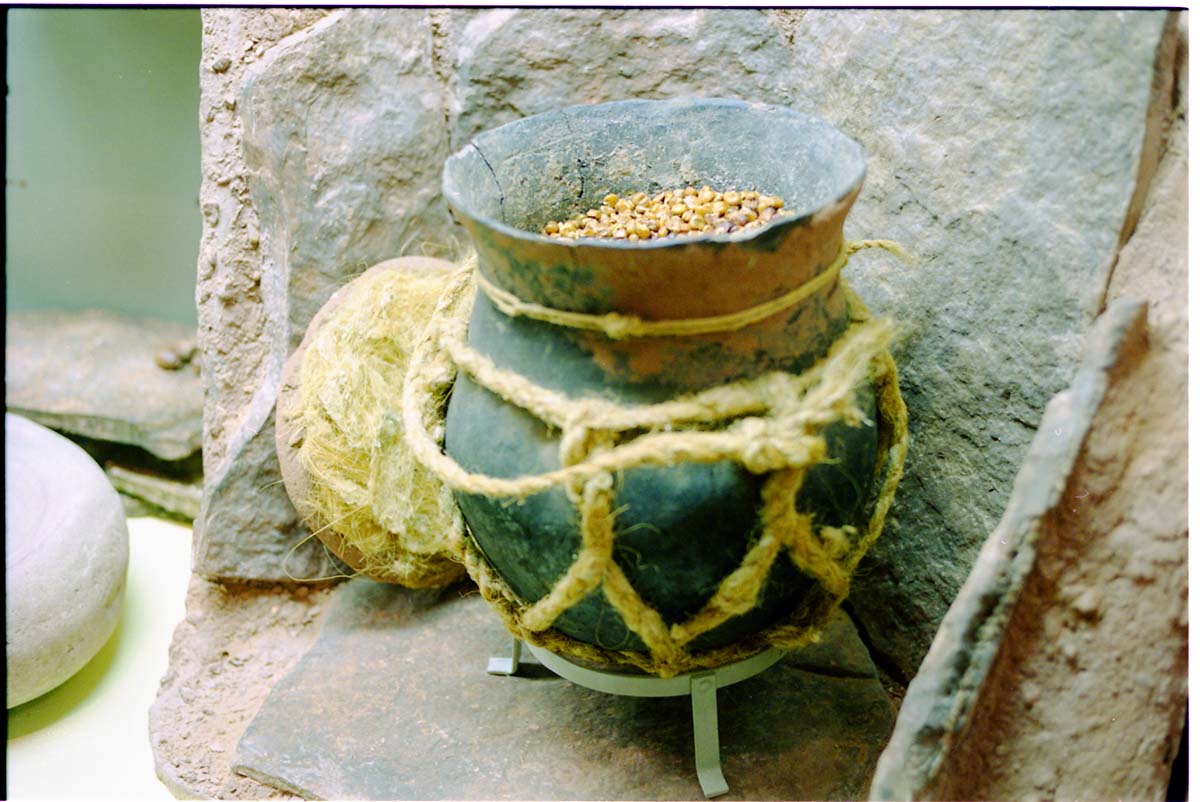 Color photos of prehistoric jar (North Creek Gray) display.