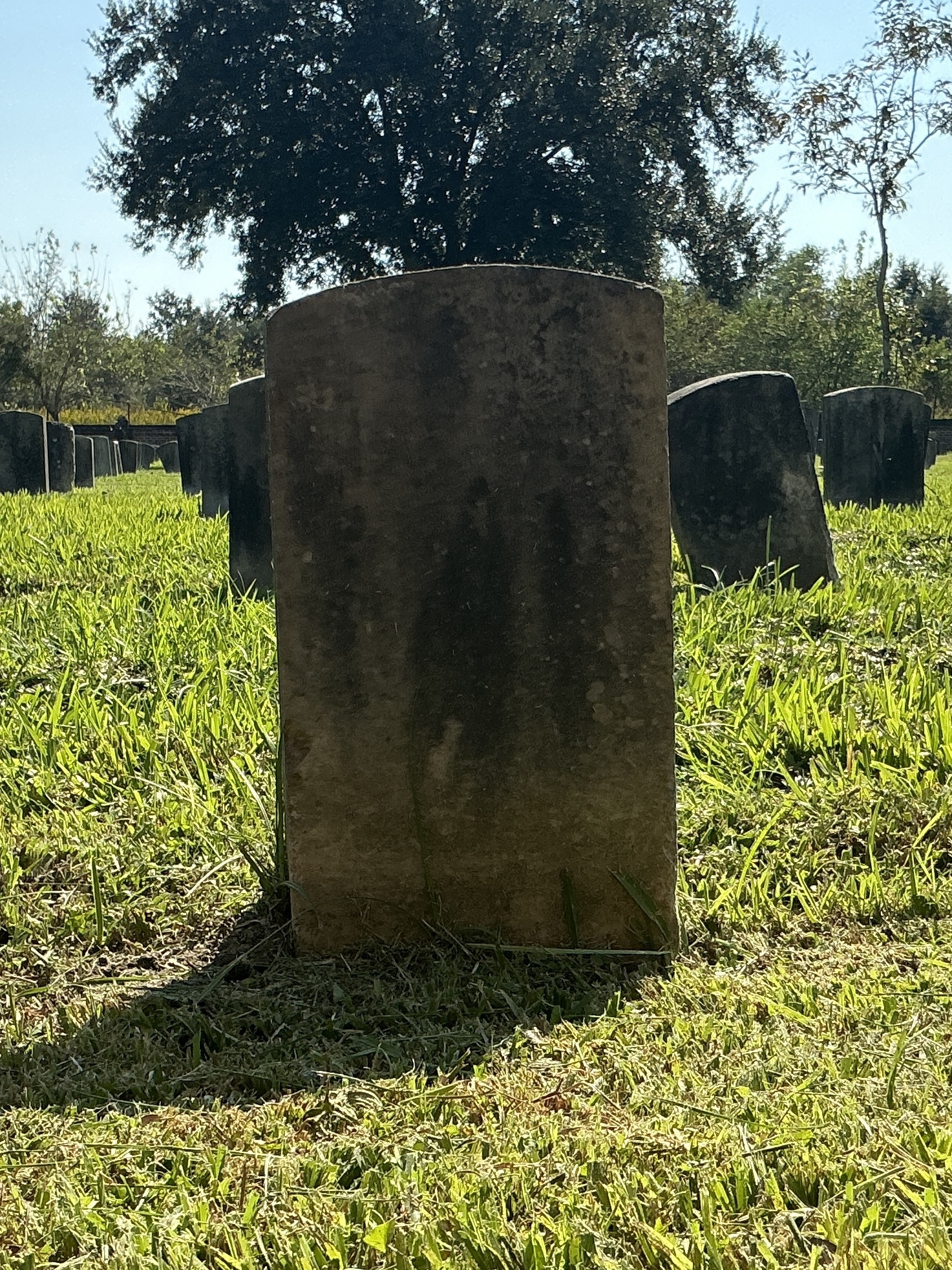 Back of historic upright marble headstone with recessed shield face.