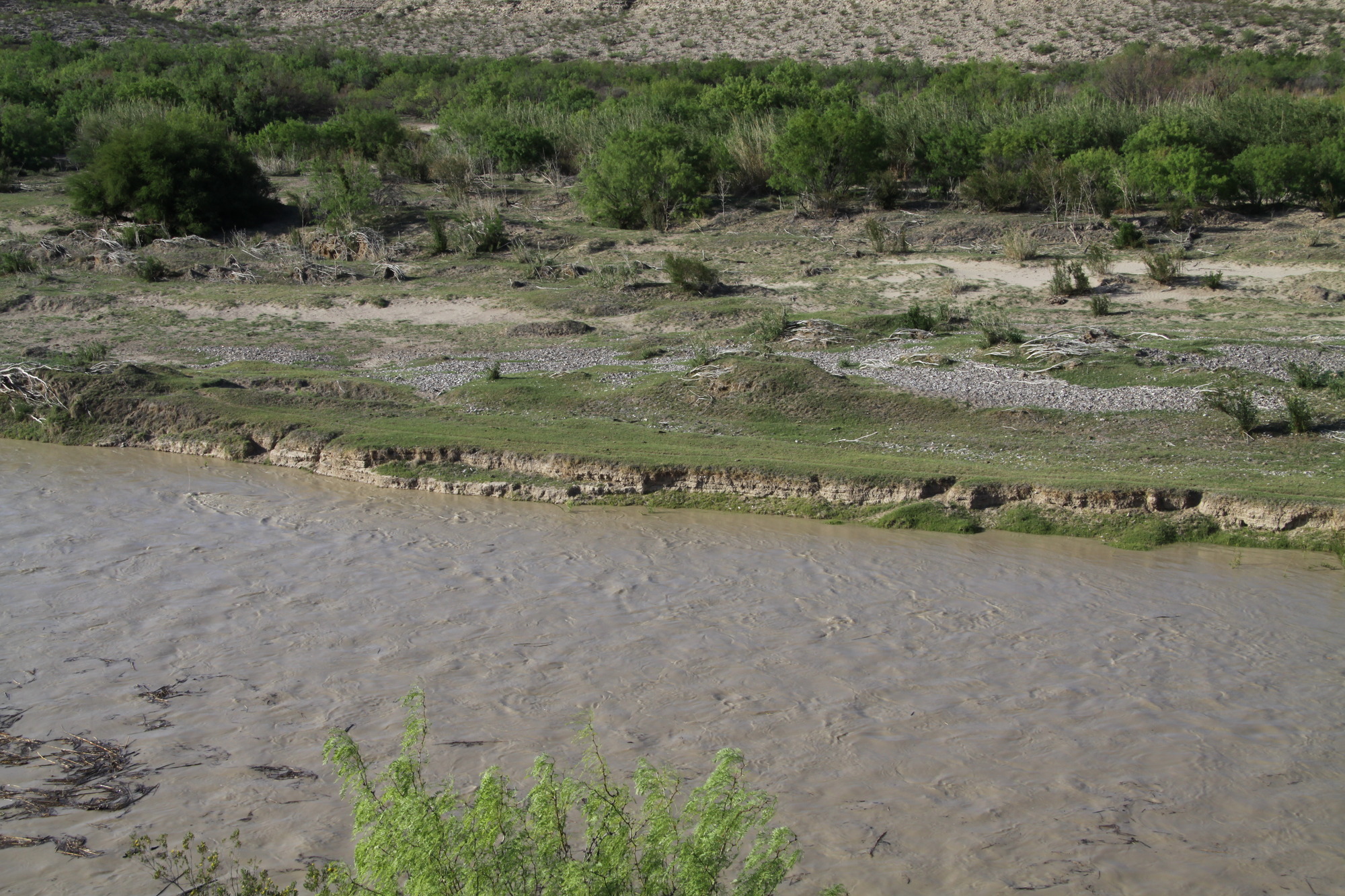 Photo of the Rio Grande