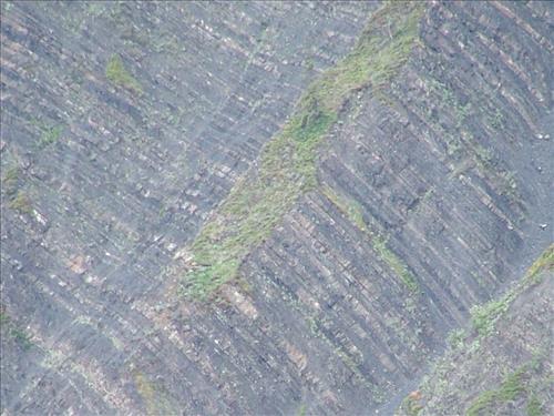 17 Yukon-Charley Rivers National Preserve Peregrine Falcon Survey July 2006
