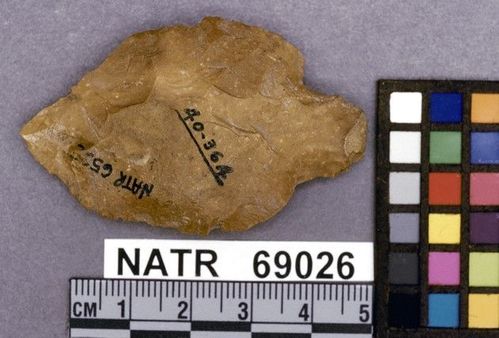 NATR   69026 -- Ledbetter Cluster projectile point