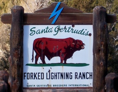 A sign that reads "Santa Gertrudis, Forked Lightning Ranch"