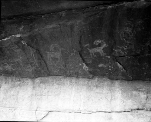 Petroglyphs in Petroglyph Canyon interpretive area; subject to interpretation.