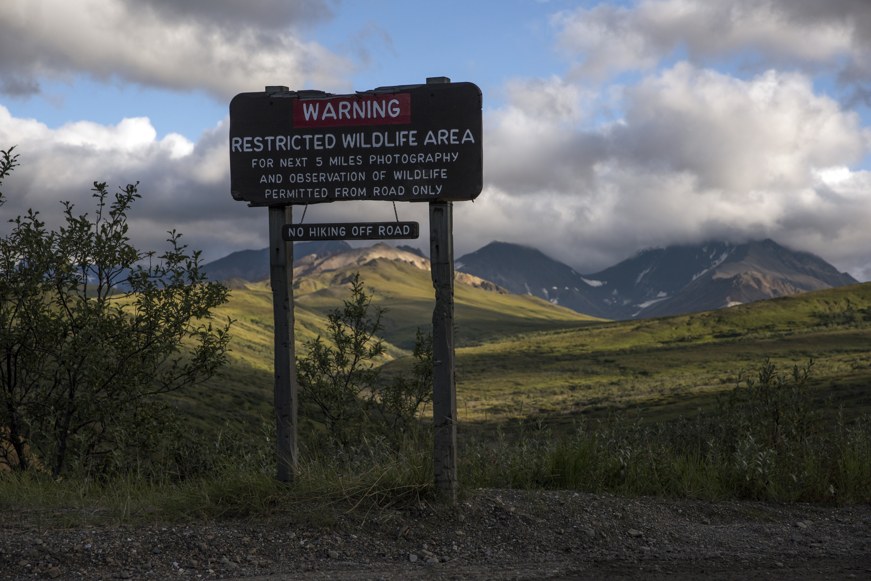a wooden sign. carved words in the sign read "Warning: Restricted Wildlife Area. For the next 5 miles, photography and observation of wildlife permitted from the road only. no hiking off road."