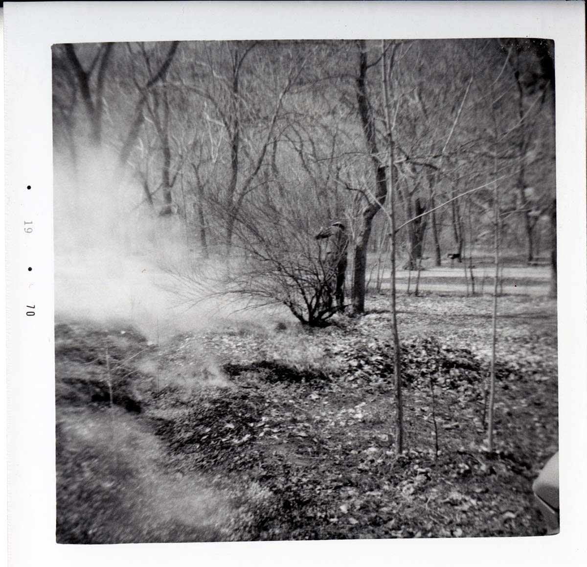 Park personnel burning and clearing brush in South Campground.