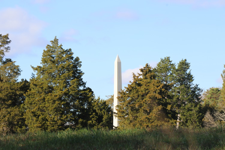 Fencing with obelisk rising over it surrounded by trees