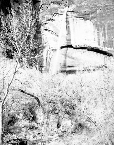 Waterfall at Weeping Rock.