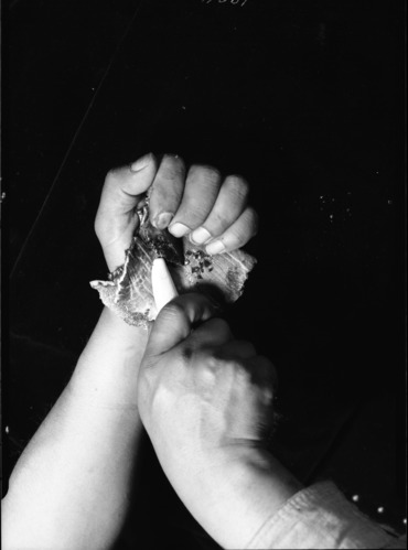 Le-me chipping obsidian for arrow points.