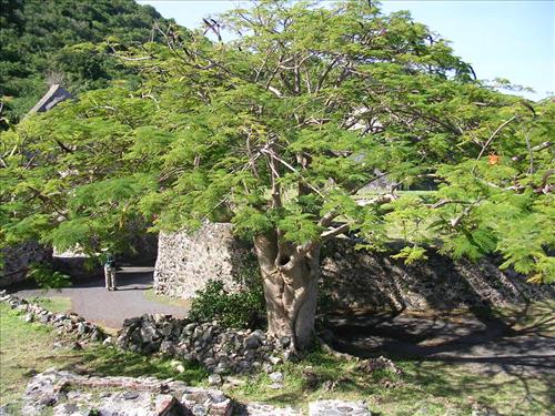 Annaberg Sugar Mill Ruins at Virgin Islands National Park in December 2007