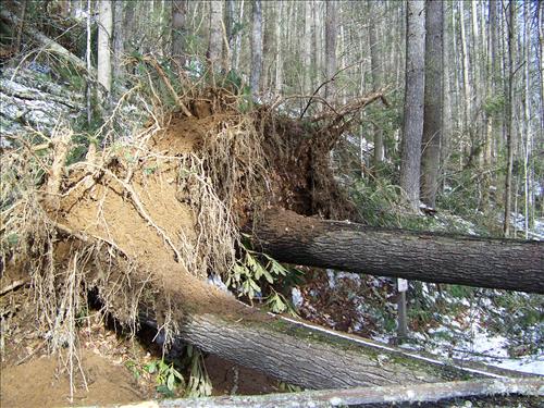 December 24, 2009 Wind/Rain Storm Damage