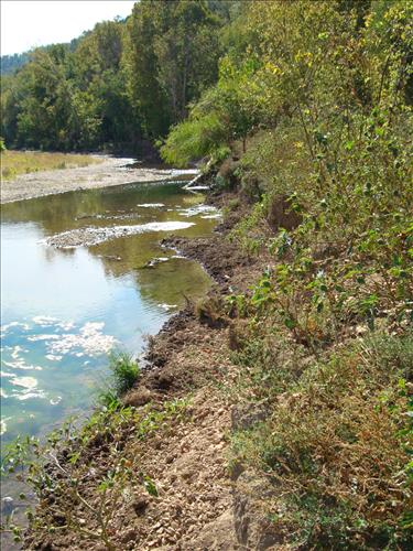 Feral Hog Damage At Big Creek and Sanders Field, Buffalo National River