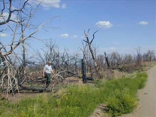 Alpine Hot Shots firefighting crew visit Mug House cliff dwelling, Mesa Verde National Park