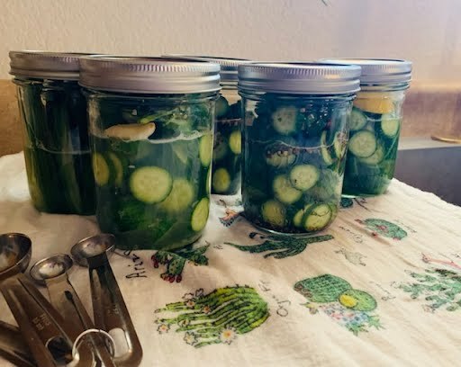 mason jars of pickles sitting on a tablecloth next to measuring spoons
