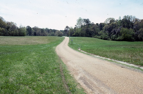 Tour road looking south at Field 1