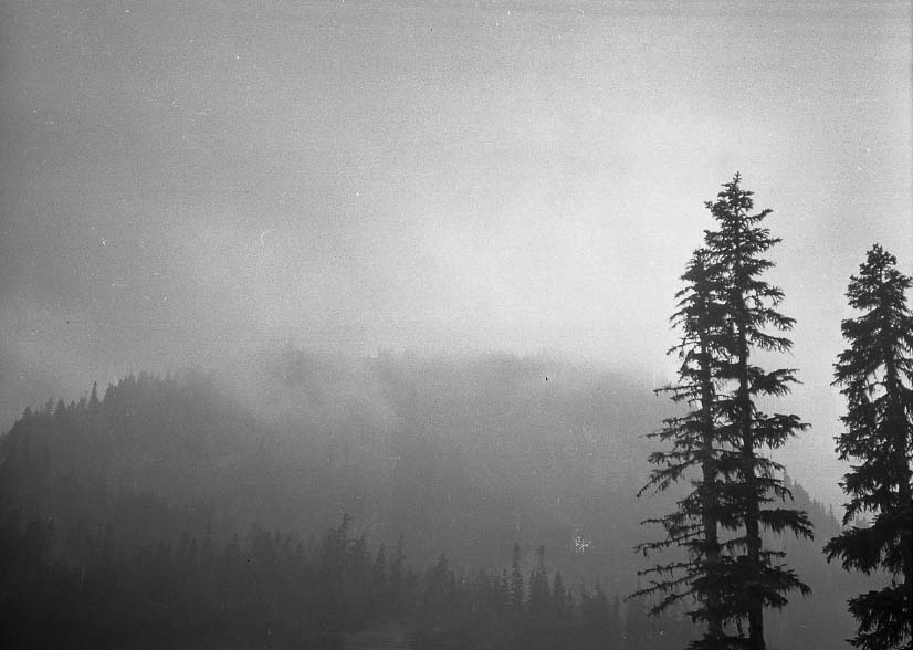 Mt. Rainer National Park