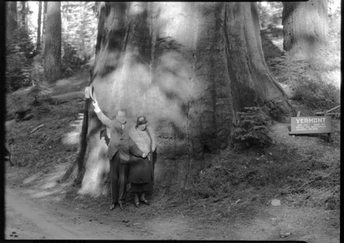 Sen. & Mrs. Austin in front of Vermont Tree.