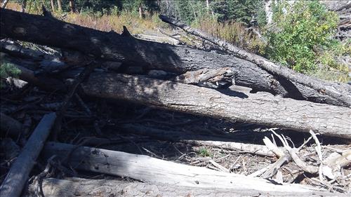 Rehabilitate SF Baker Creek and North Fork Big Wash Trail Systems
