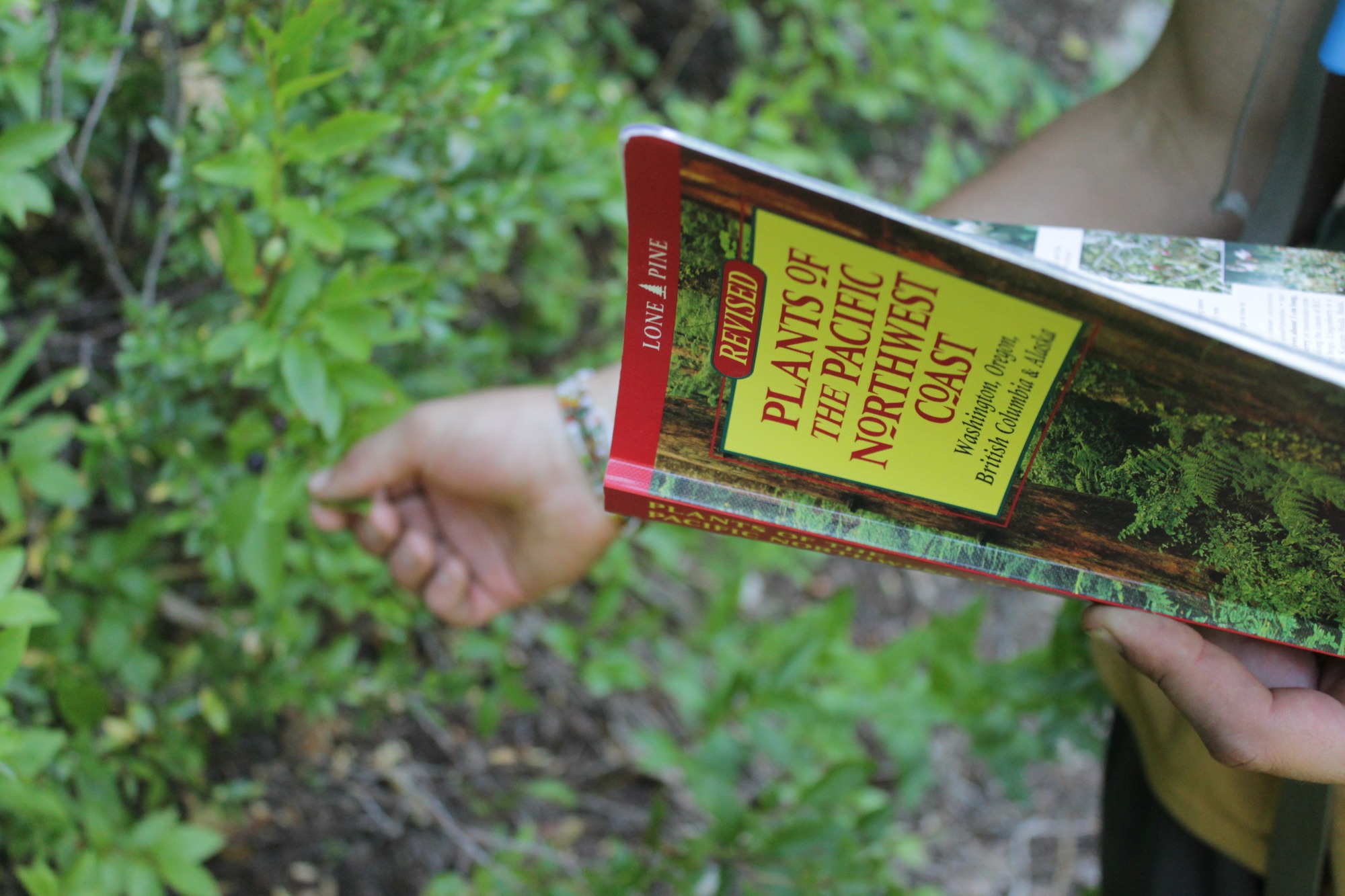 A close up on someone holding the book PLANTS OF THE PACIFIC NORTHWEST COAST.