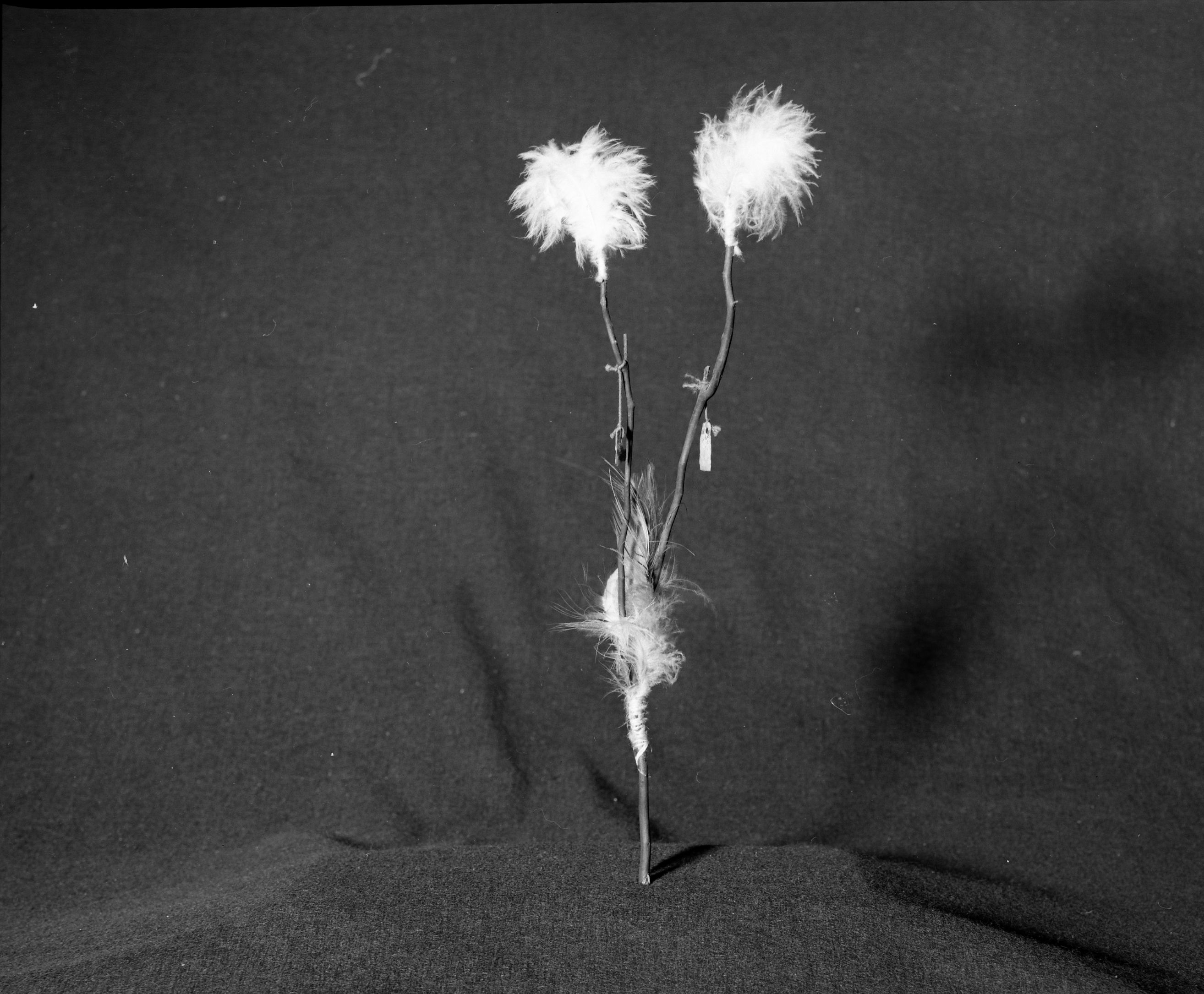 Marie Rozier Collection, Catalog No. 215. Object: Miwok hairpin. Dimensions: 15". Materials: Manzanita, abalone shell, cotton string, various feathers. Collection History: Made by Craig Bates and John Kelly ca 1968. Photographed by Michael Dixon in December 1982. Catalogued by Craig Bates and Barbara Beroza. Yosemite Collections, National Park Service.