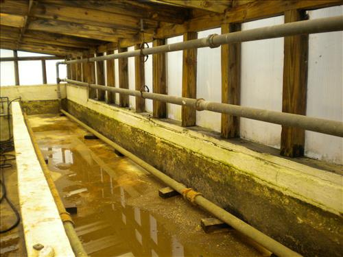 Pre-construction conditions of Aquatic Gardens Historic Greenhouses 1, 2, and 3 in October 2010