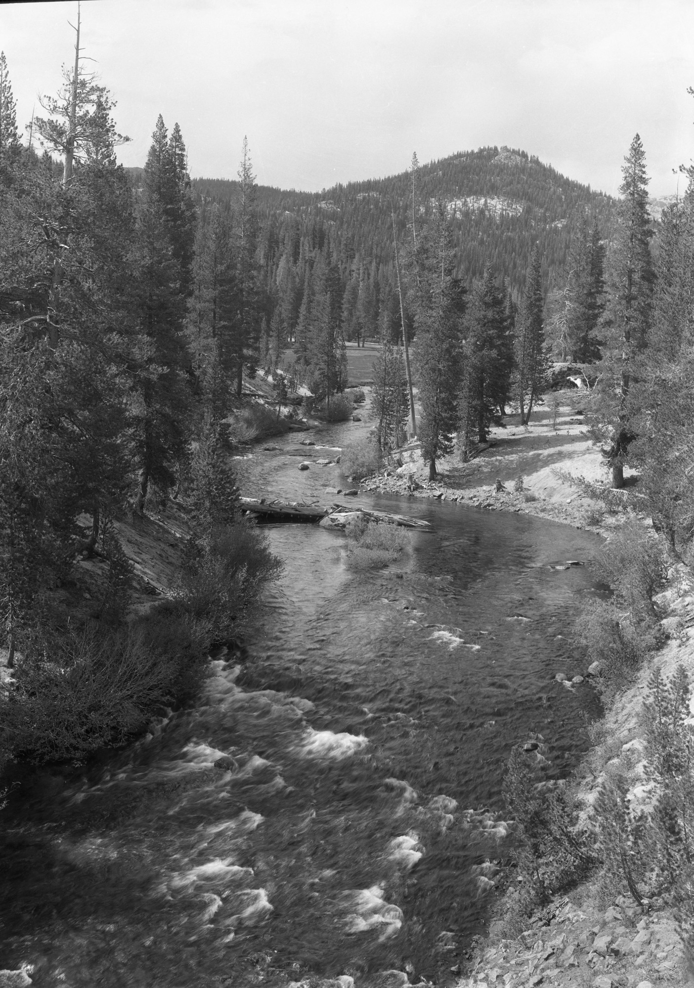 Middle Fork San Joaquin from near Postpile looking North. Job No. 101.