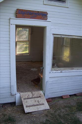 Junior Ranger, Goats and Gobblers, Miscellaneous