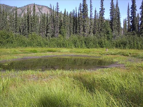 2 Yukon-Charley Rivers National Preserve Water Quality Ponds 2003