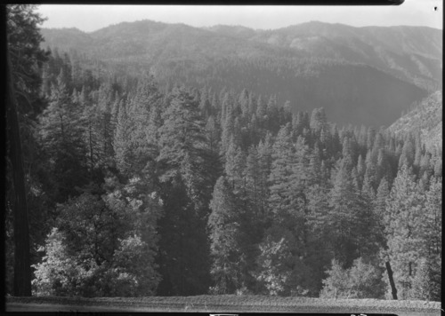 View of Merced Canyon from new Wawona Road. Note fall color in foreground.