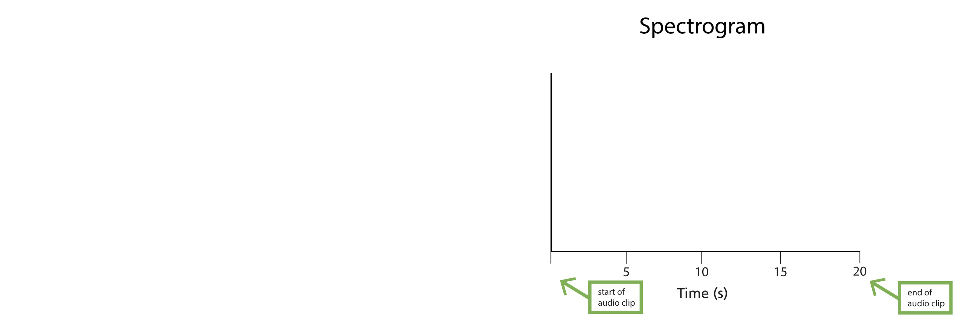Comparison of two spectrograms that show sounds from acoustic recordings collected at 4AM and sounds at 6AM. Each spectrogram is a graph with an x and y axis. The x axis shows the time in seconds and ranges from 0 seconds to 20 seconds. The y axis shows the frequency of the sound and ranges from 0 Hertz to 20 kilohertz. Frequency is also called pitch. A cello and thunder are examples of low frequency sounds. A whistle and a siren are examples of high frequency sounds. 
The spectrogram on the left of the screen shows the sounds at 4AM. The only sound recorded at the time is the sound of the highway traffic. The sound occurs during the entire 20 second audio clip and is below 2 kilohertz in frequency.
The spectrogram on the right of the screen shows the sounds at 6AM. In this spectrogram, highway noise is present in the entire 20 second audio clip and is below 2 kilohertz in frequency. In addition to highway noise, in the 6AM spectrogram we can see three bird calls that range in frequency from 2 to 14 kilohertz