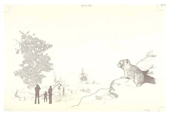 Silhouettes of hikers observing the flora and fauna of the area known as The Devil's Orchard.