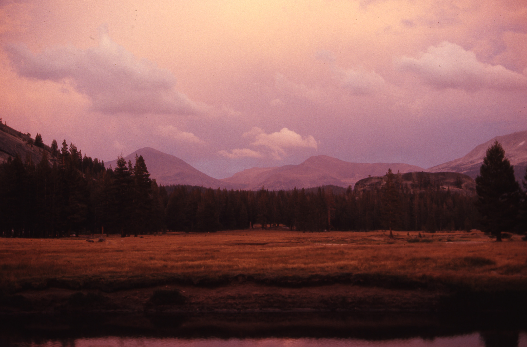 Tuolumne Meadows