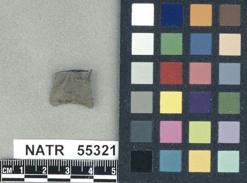 NATR   55321 -- Untyped projectile point