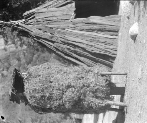 Um-a-cha & Chuck-a back of Museum in 1933