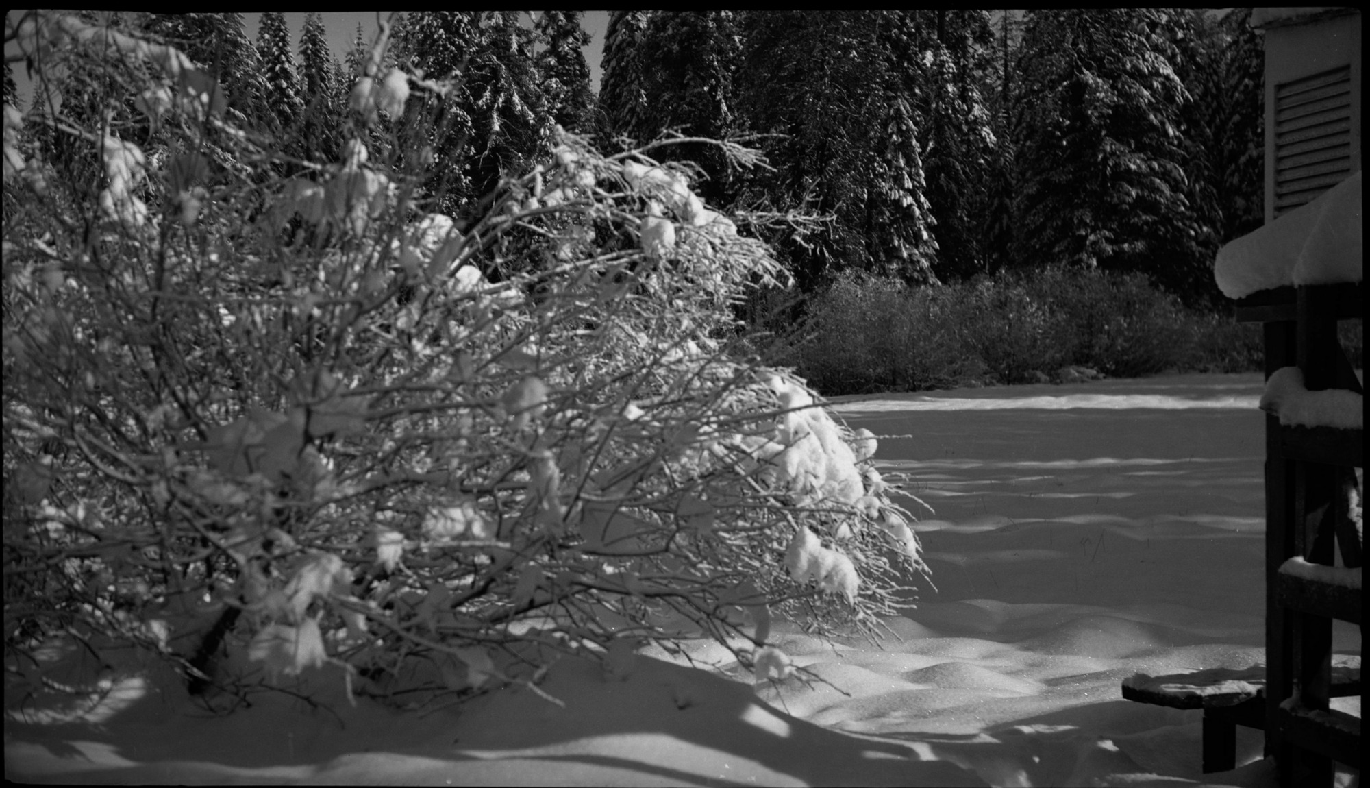 SEKI Roberts Collection Series: 2 Negatives; 14 Sites and Structures