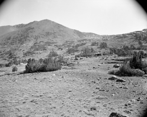 Golden Crown Cabin (several negs)