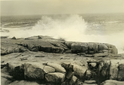 SURF ON SCHOODIC