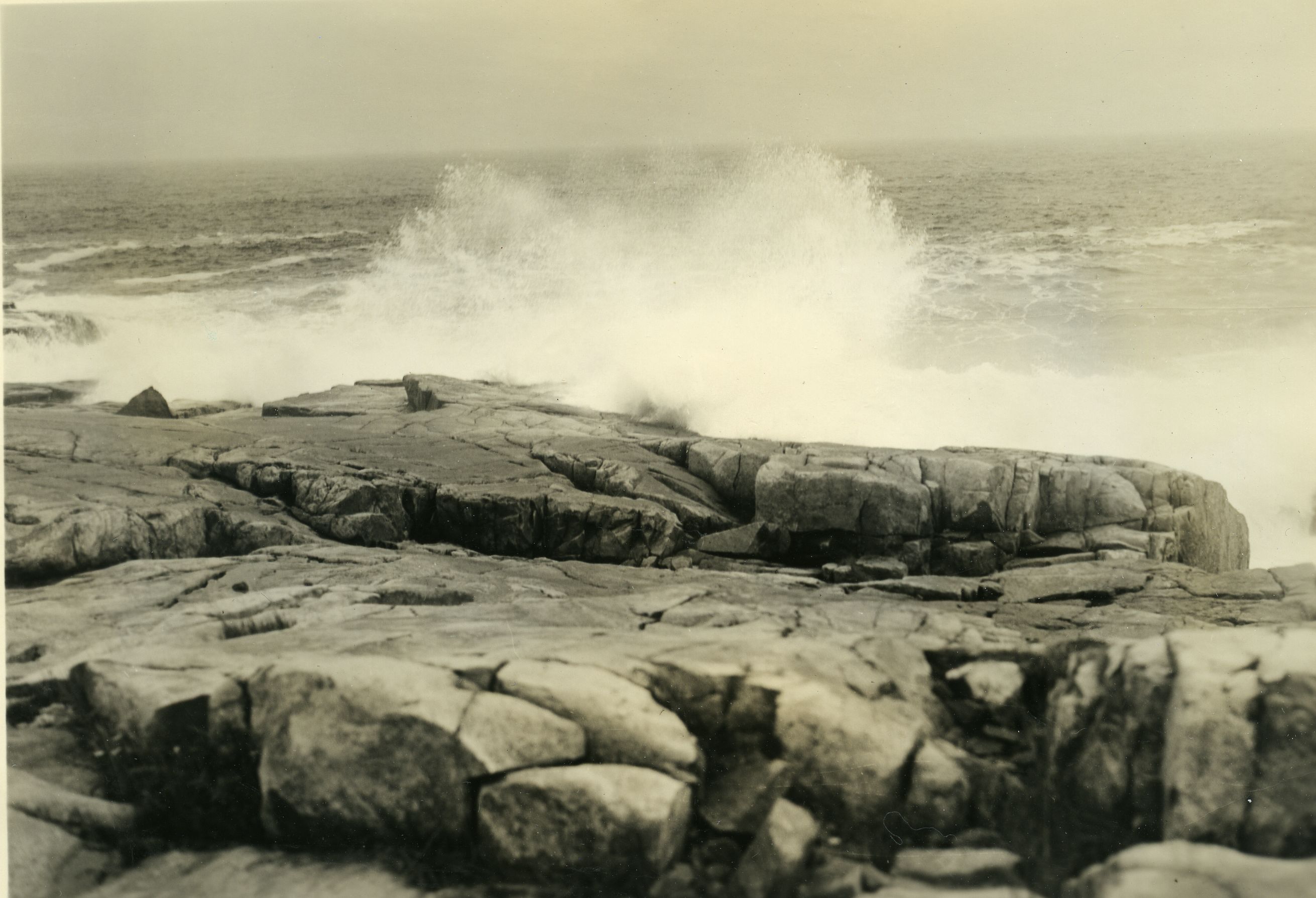 SURF ON SCHOODIC