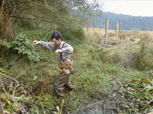 Orick Valley Elk Fence Condition