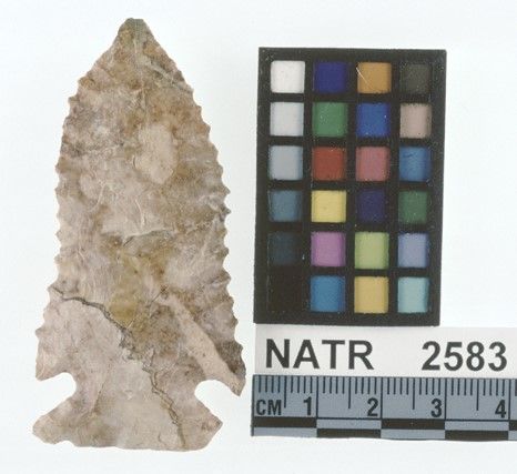 NATR    2583 -- Kirk projectile point