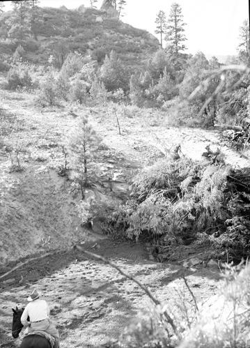 Slide at lower end of Hop Valley. Tree dam constructed by Evan Lee in 1953