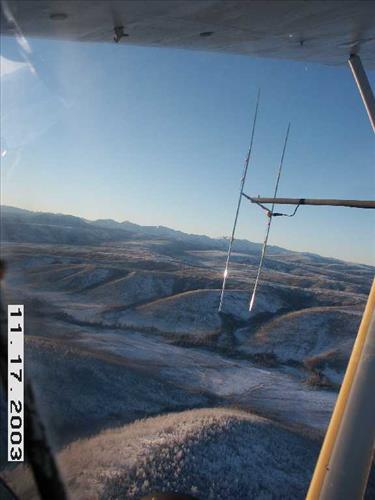 Moose Survey, Yukon-Charley, 2003 3