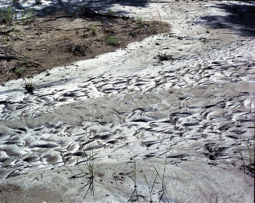 Color photos of mudflows and ripples.