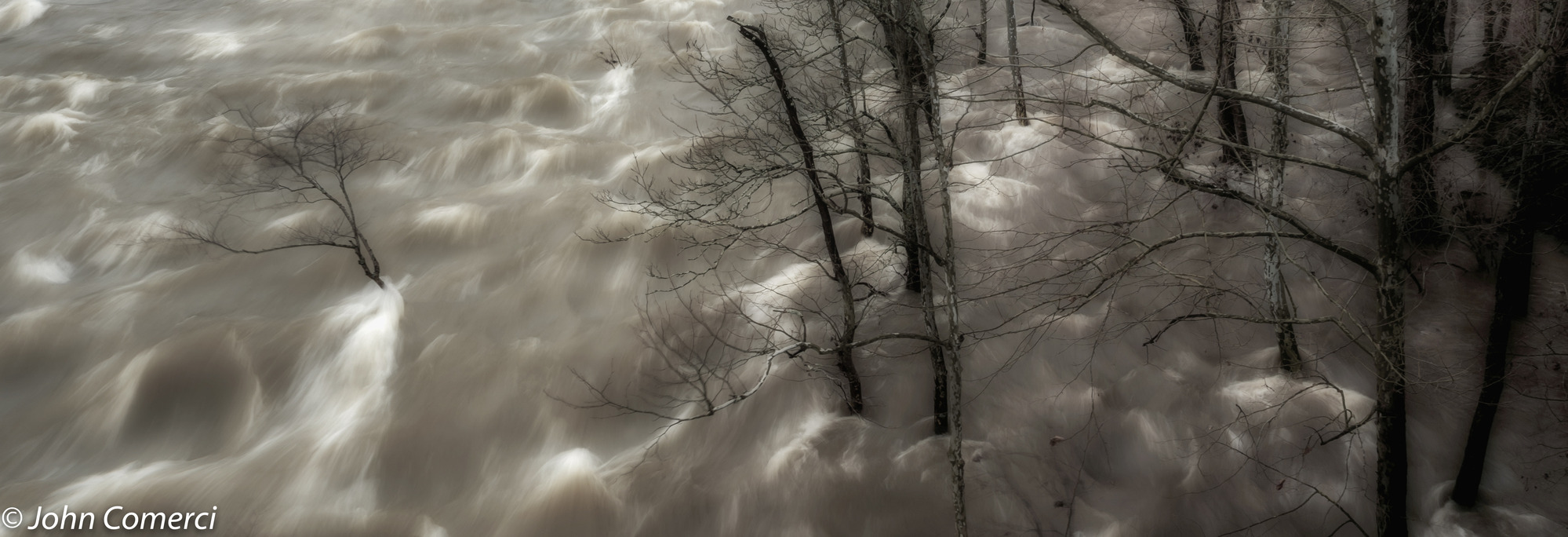 black and white photo of floodwaters moving quickly through trees