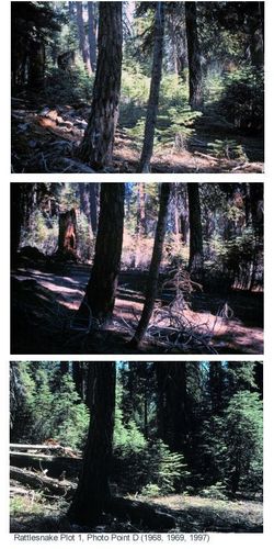 Fire plots revisited after 30 years in Kings Canyon backcountry, Sequoia and Kings Canyon National Parks, 1968-1997
