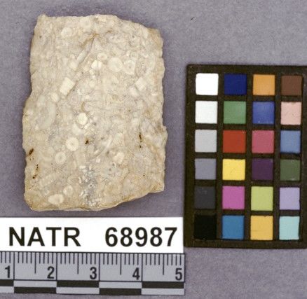 NATR   68987 -- Untyped projectile point