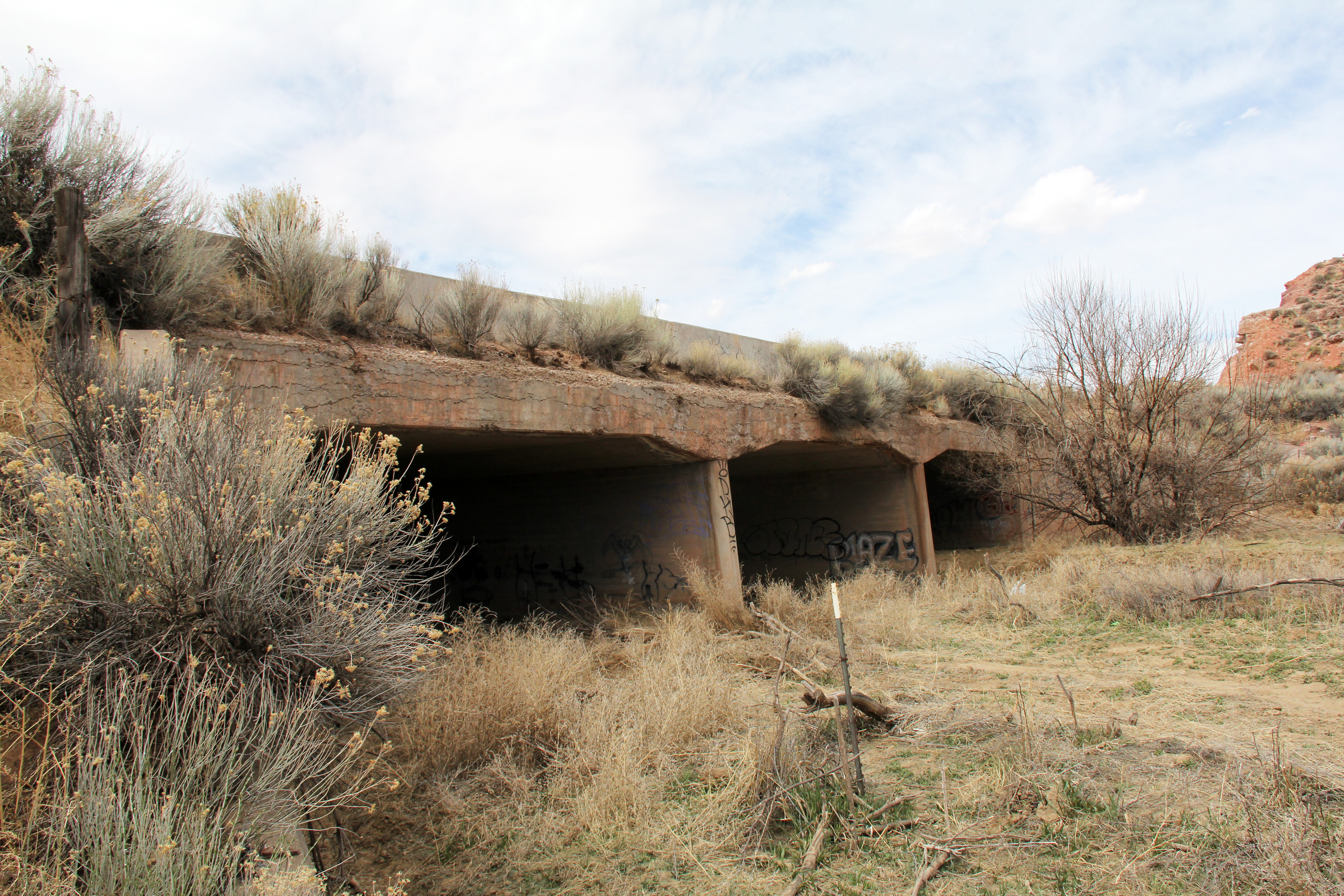Concrete bridge on the Rio Puerco at Fort Wingate (about 7 mi. W. of Iyanbito).