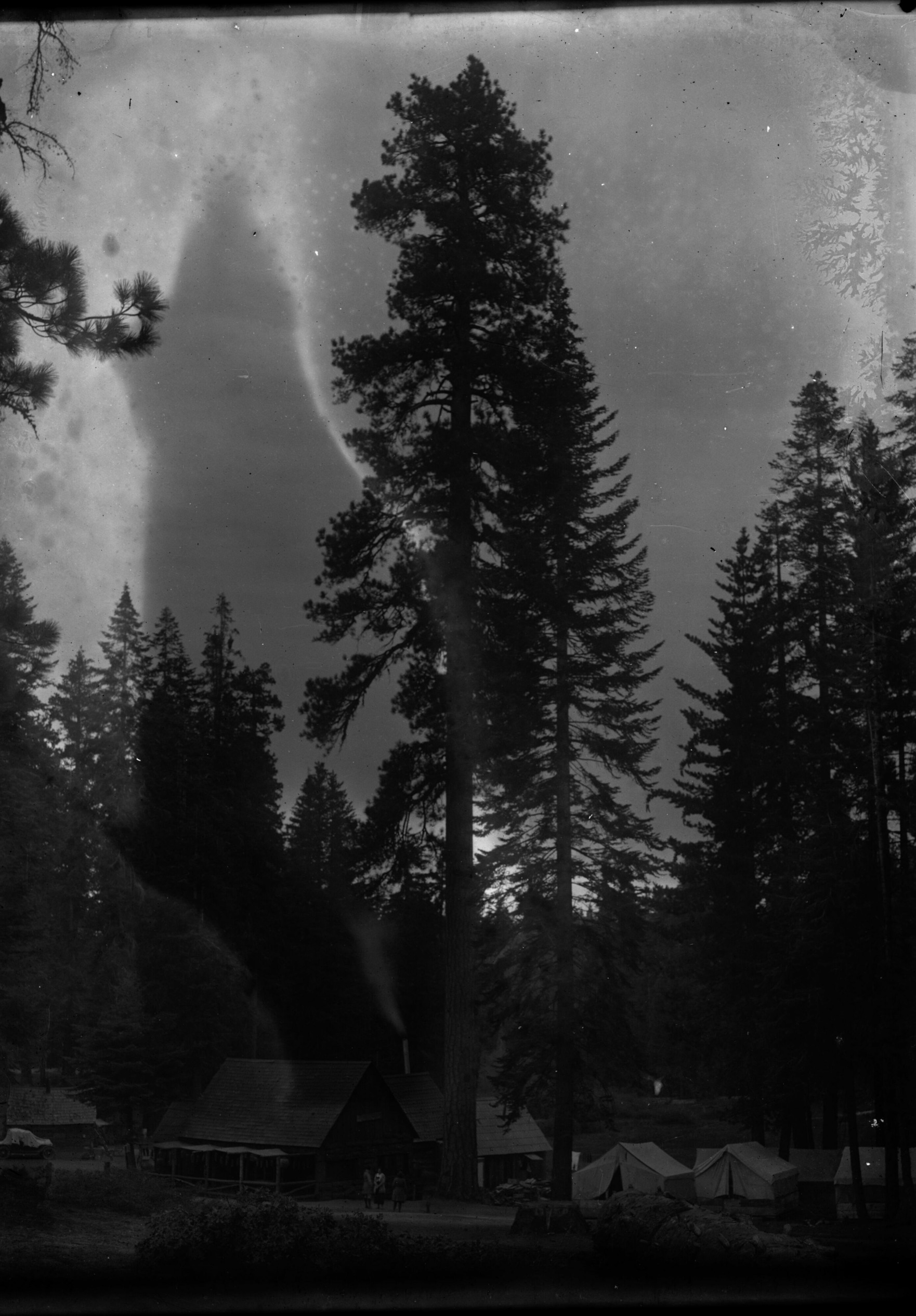 SEKI Roberts Collection Series: 1 Glass Plates; 2 Medium glass plates; 14 Sites and Structures