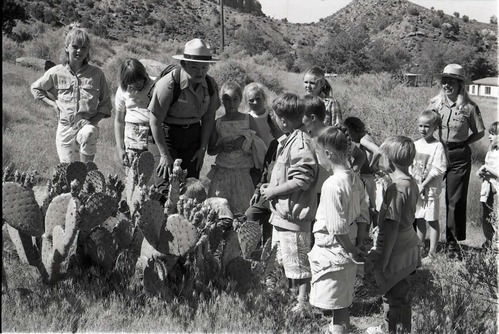 BW Photos of Junior Ranger Activities in Zion.